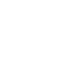Starliongx