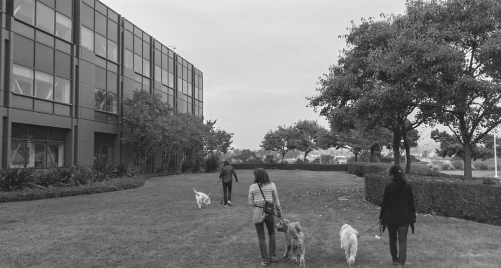 Do Work That Matters With Wind River