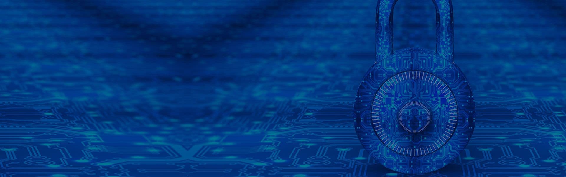 Security Vulnerability Response Information