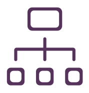 Hierarchical structure and group organization