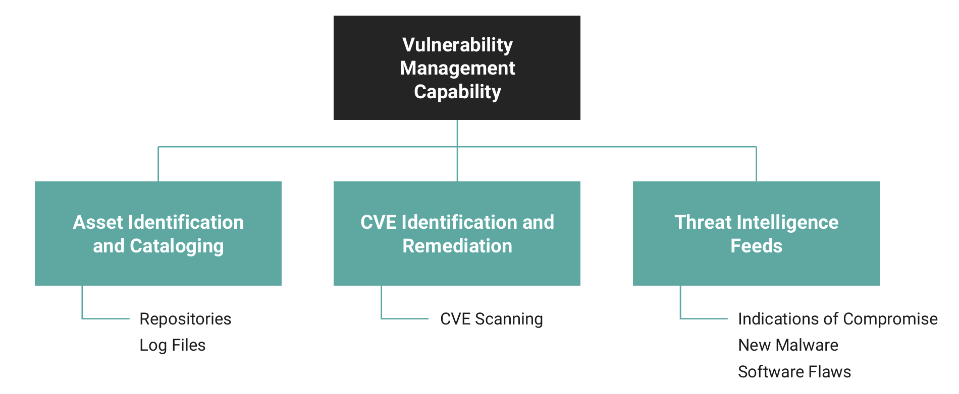 Vulnerability management capability and its associated activities