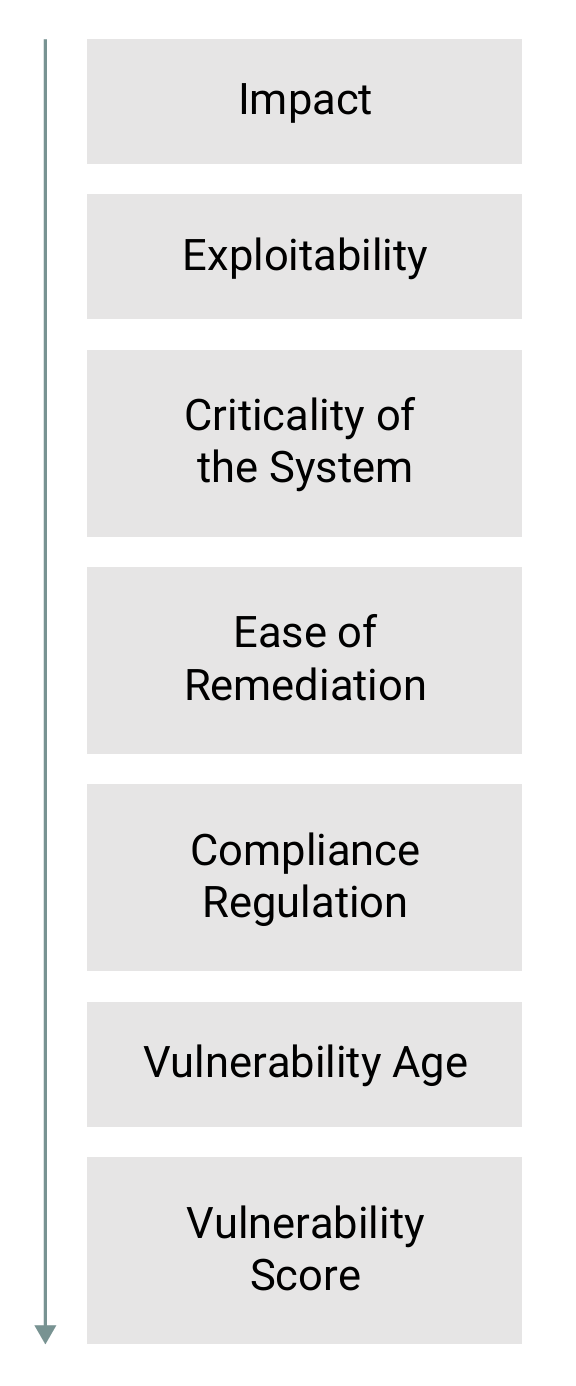 The Building Blocks of CVE Prioritization Decisions