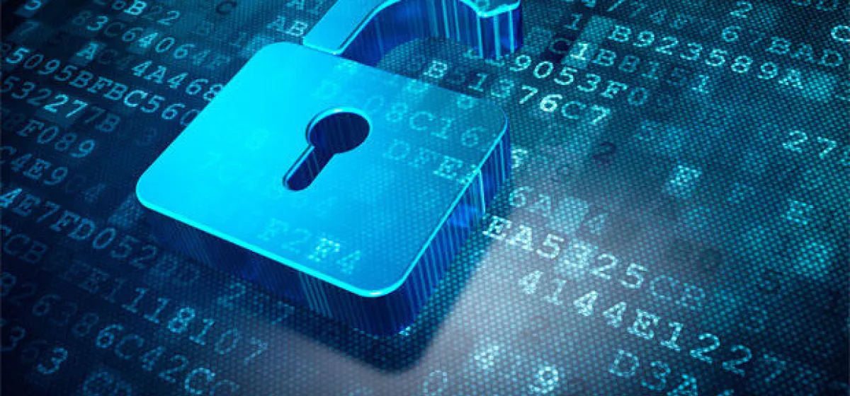 Security Response Management: Risk, Cost, and Best Practices in an Imperfect World