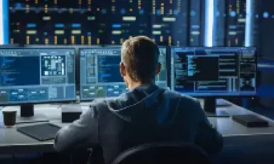 The Road to Security Vulnerability Identification and Remediation