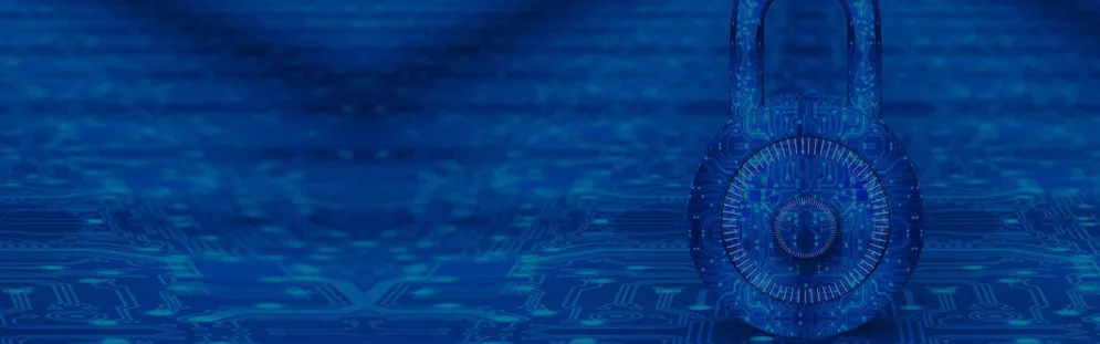 Security Vulnerability Response Information