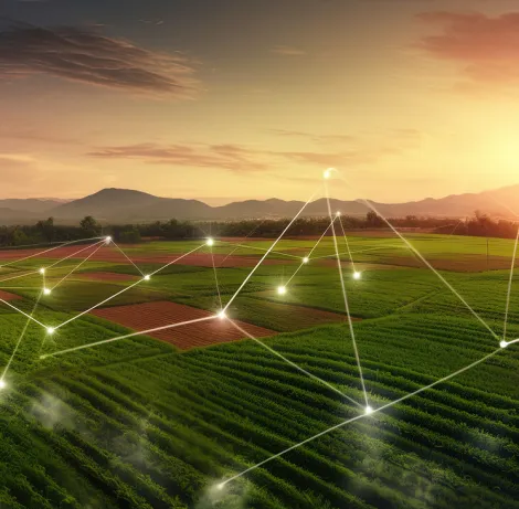 Faster Innovation with Lower Risk